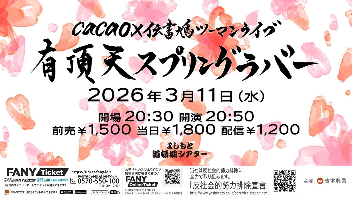 cacao 高橋 tweet media