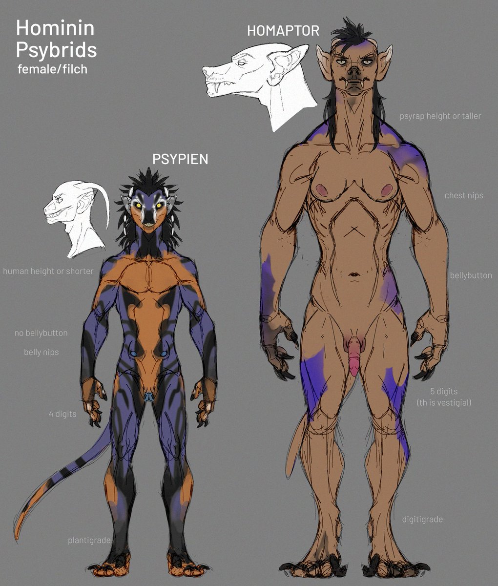 PsyrapMafia's tweet photo. Hominin Psybrids.
Psypien have psychoraptor mothers and human fathers. 
Homaptors have human mothers and psychoraptor fathers. It's very rare for humans to survive relations with a psyrap.

#psychoraptors #psybrids #worldbuilding https://t.co/lZCwxzekBr