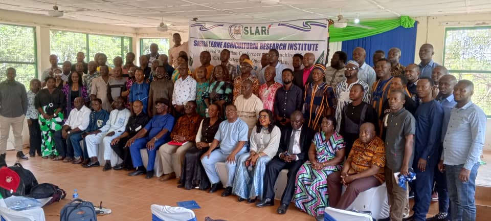 Sierra Leone Agricultural Research Institute tweet media