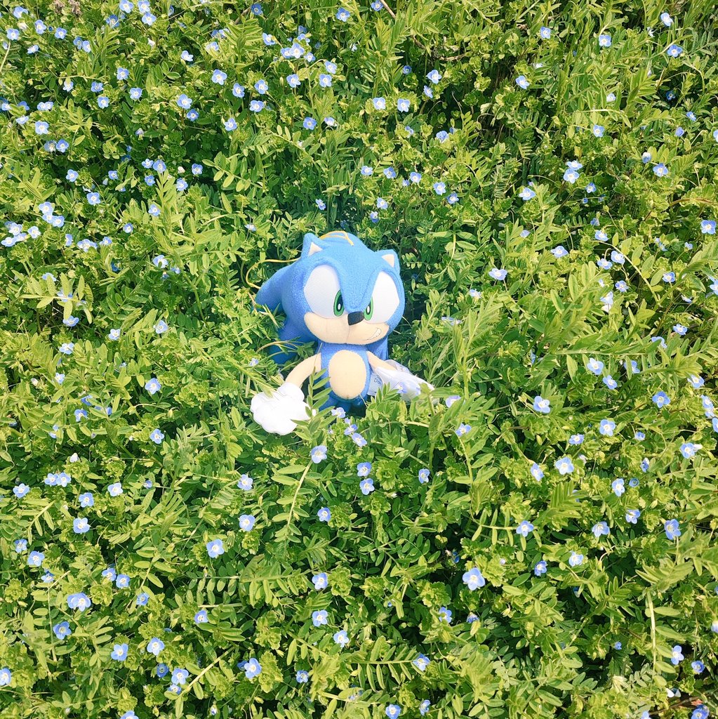 Lunsfish's tweet photo. https://t.co/zSdPEDhczw