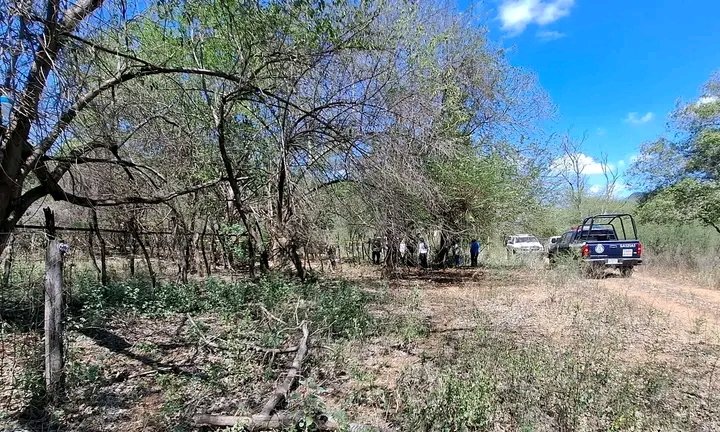ContactoRevist's tweet photo. 🚨CAMPO DE ADIESTRAMIENTO DE UN CARTEL. Localizan un #rancho con restos humanos vestidos con ropa táctica y una Tacoma #calcinada en El Guasimal, #Imala #Culiacan https://t.co/GT8K5B9C6w