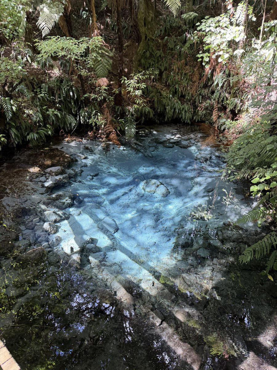 JustDash tweet media