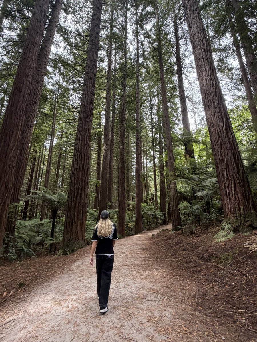 JustDash tweet media