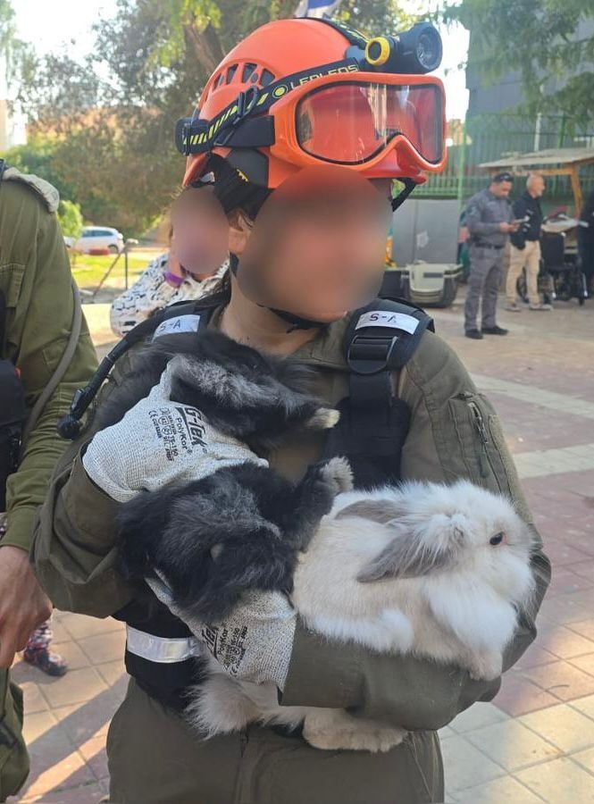 StandWithUs tweet media