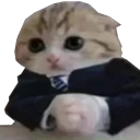 ArganPw's tweet photo. @REYCALL1 i am french, guess my answer https://t.co/Iu4j31AMZf