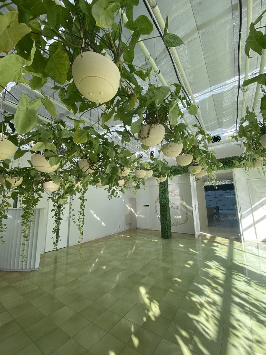 なんでもコスプレライフ7月5日イベント開催(抽選受付中) tweet media