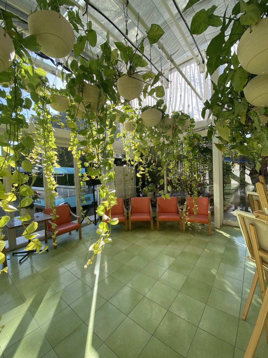 なんでもコスプレライフ7月5日イベント開催(抽選受付中) tweet media