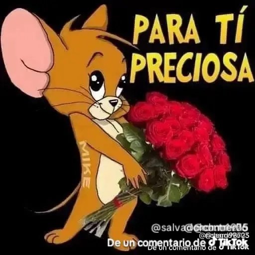 KevinOs2222's tweet photo. @tagachomi Guapísima 💖💗💘 bonita regia bonita 🫶🫶🫶🌹💐🌹💐 https://t.co/gYmXqjBzkG