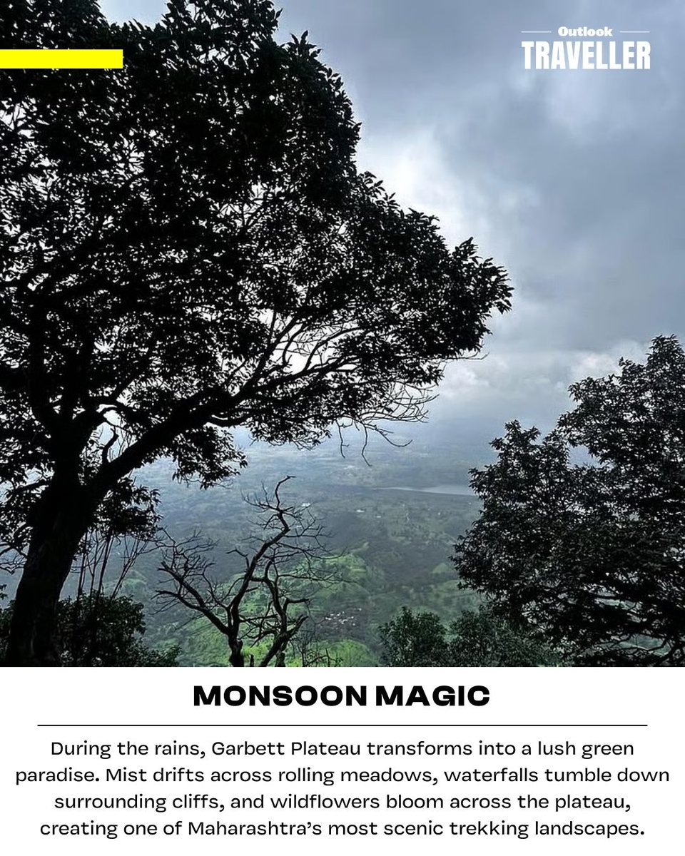 Outlook Traveller tweet media