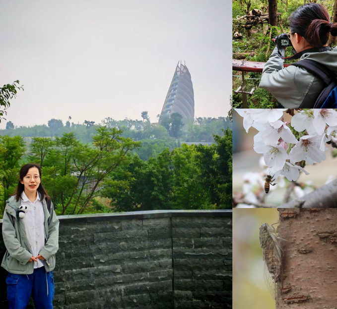 NAISTバイオサイエンス領域 tweet media