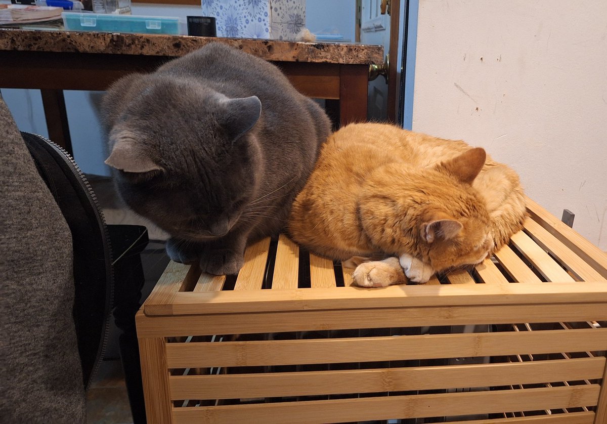 The size difference between Cheddar &amp; Spaetzle.