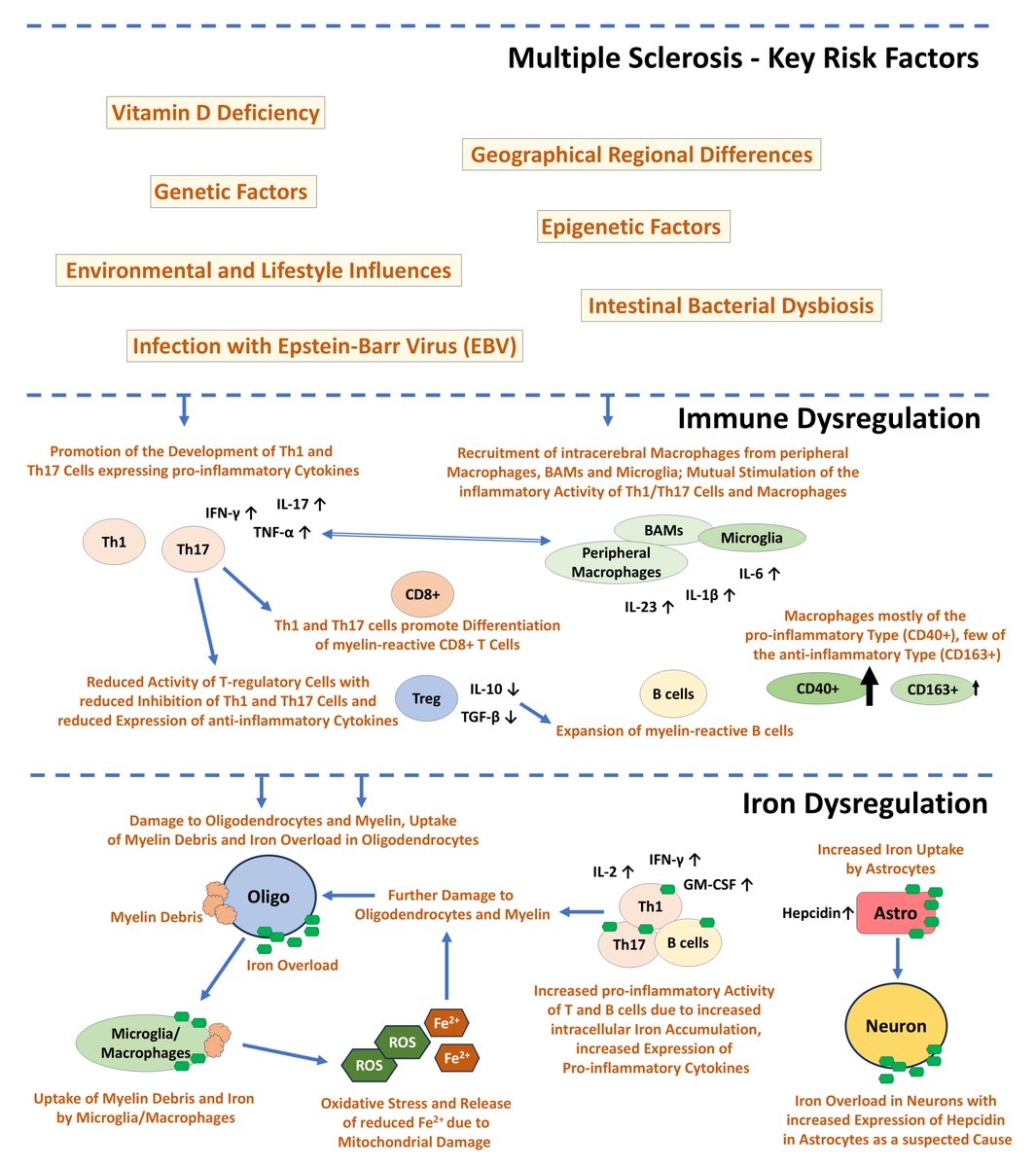 Frontiers in Bioscience-Landmark tweet media