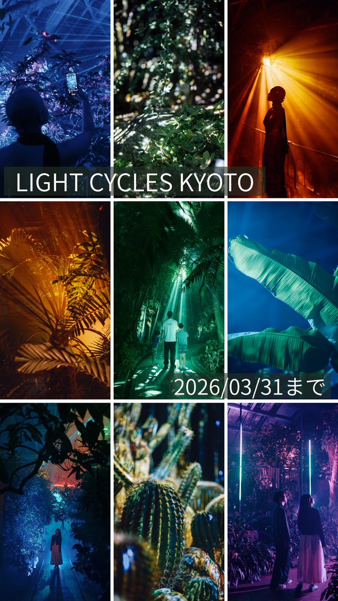 京都府広報課 tweet media