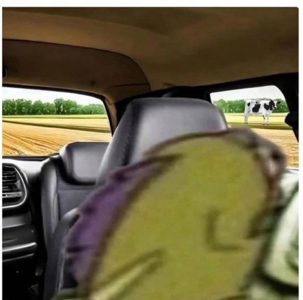 وانا اخاطر بحياتي عشان اشوف روتين البقره الي اشوفها بالسريع