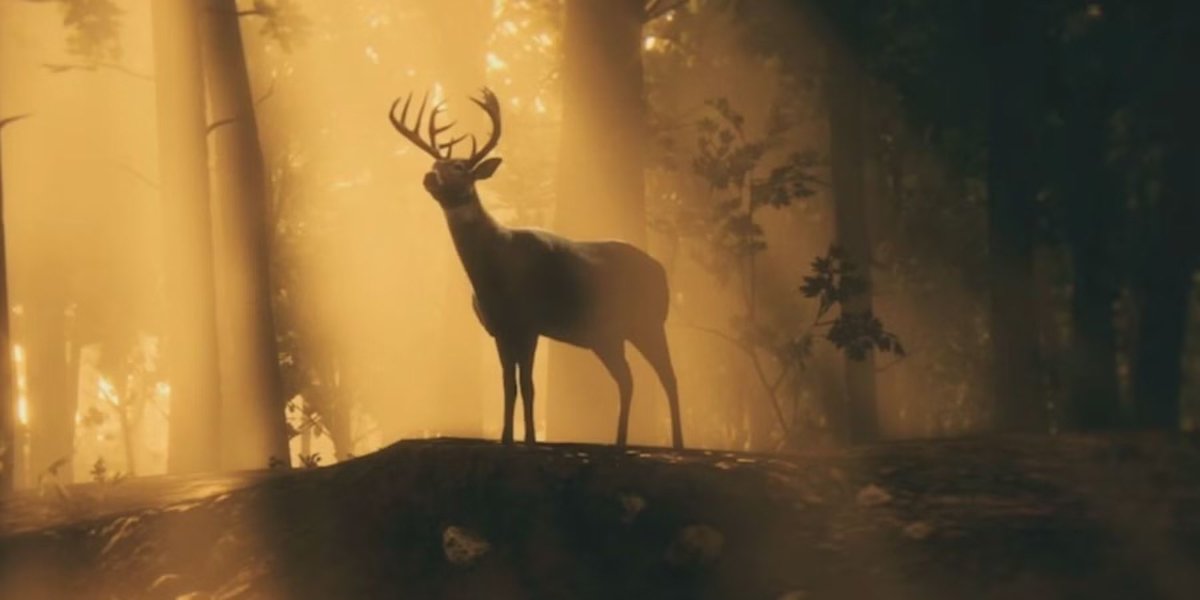 𝑽𝒆𝒔𝒑𝒖𝒄𝒄𝒉𝒊𝒙 𝑮𝑻𝑨 ☀️🌴 tweet media