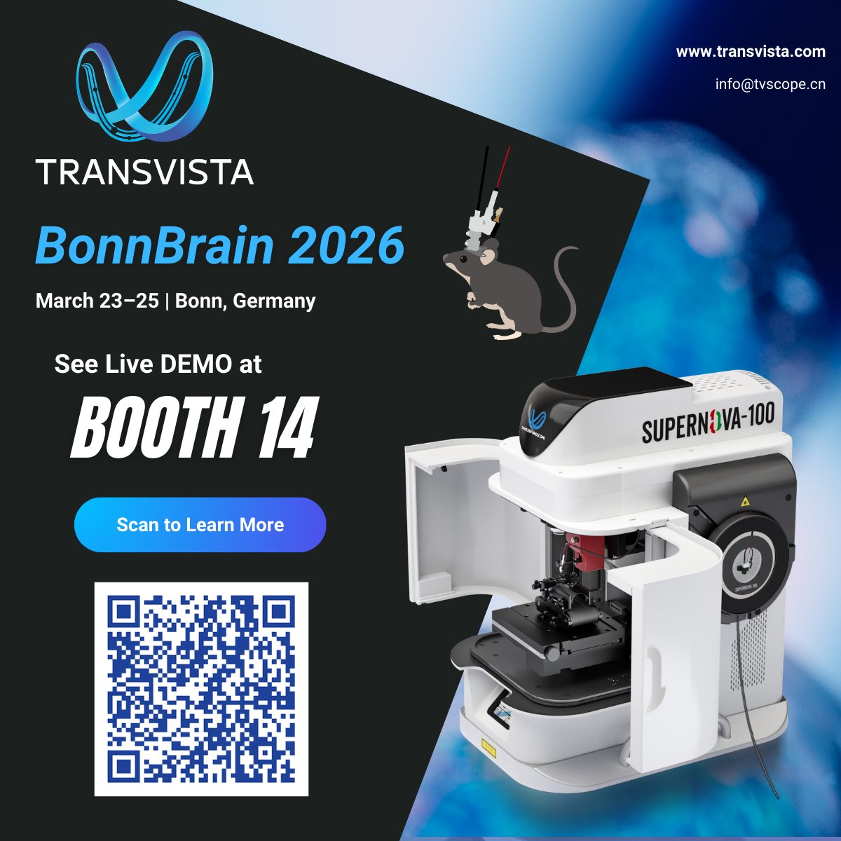 TRANSVISTA tweet media