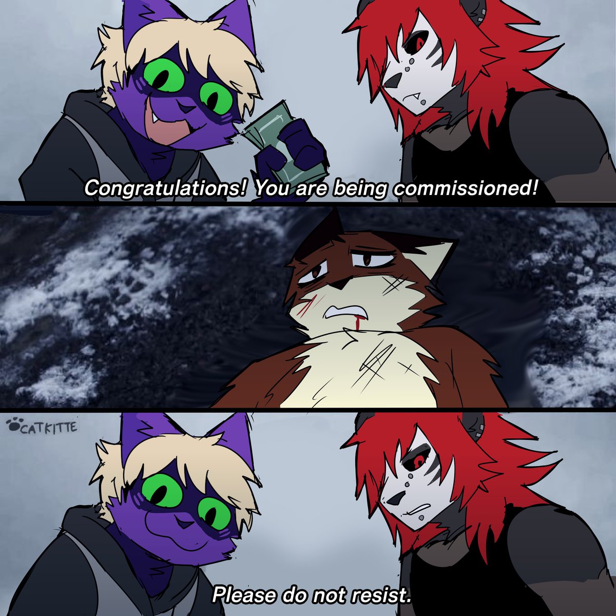 CatKitte 🐾 tweet media