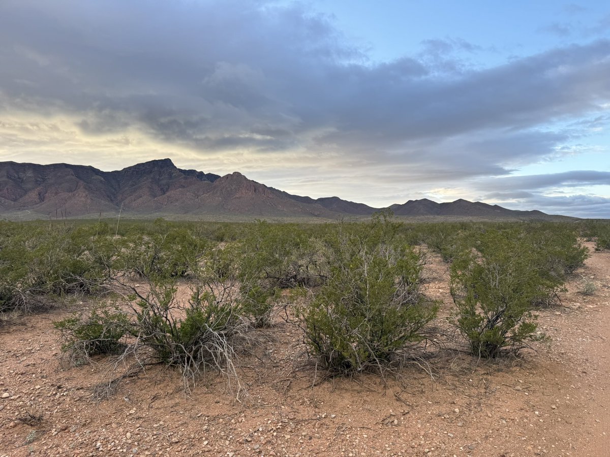 𝗝𝗼𝗻 𝗙𝗹𝗼𝗿𝗲𝘀 tweet media