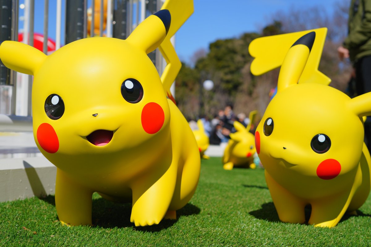 仲良しだね #ピカチュウ #ポケパークカントー #ポケパーク