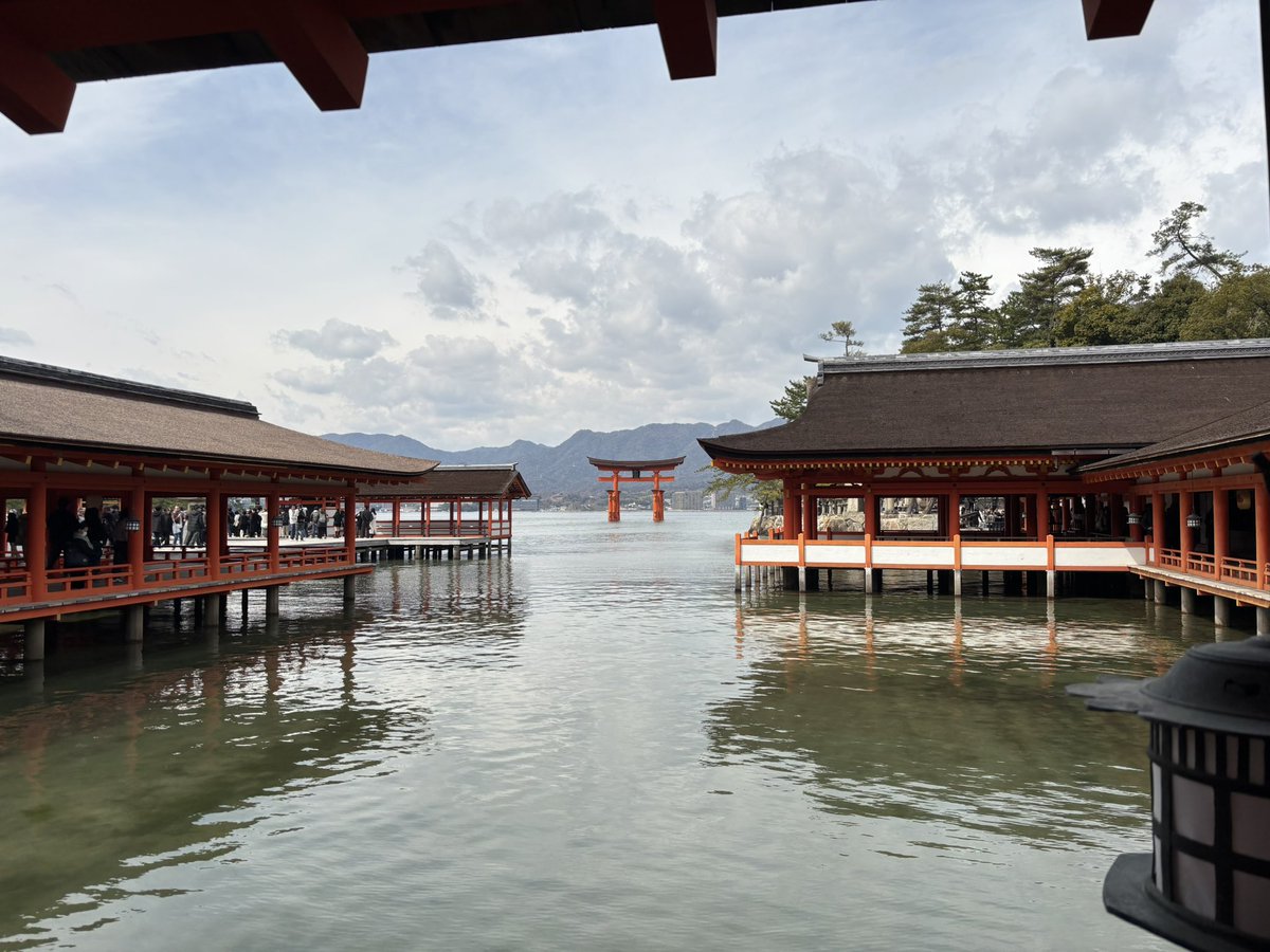mickey_tmr_13's tweet photo. 卒業旅行で厳島神社に行ってきました

私の恩師が先日亡くなり、ここ2,3週間ほど落ち込んでいましたが、ようやく受け入れ、毎日そらに向かって感謝を伝えています
厳島神社では恩師へ祈りを捧げました
届いているといいな https://t.co/zGSYuhXqpM