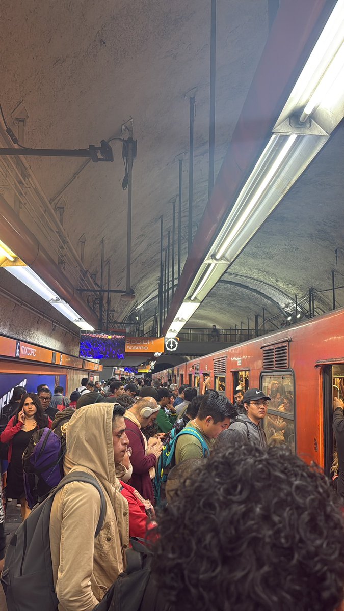 Sho_Sho 🟡⚪️🟣⚫️ tweet media