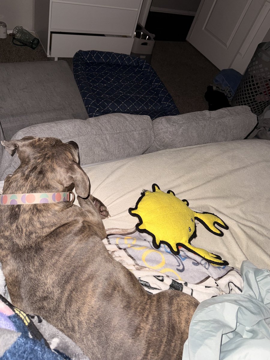 molly jean ( goodest gorl 🍉) tweet media