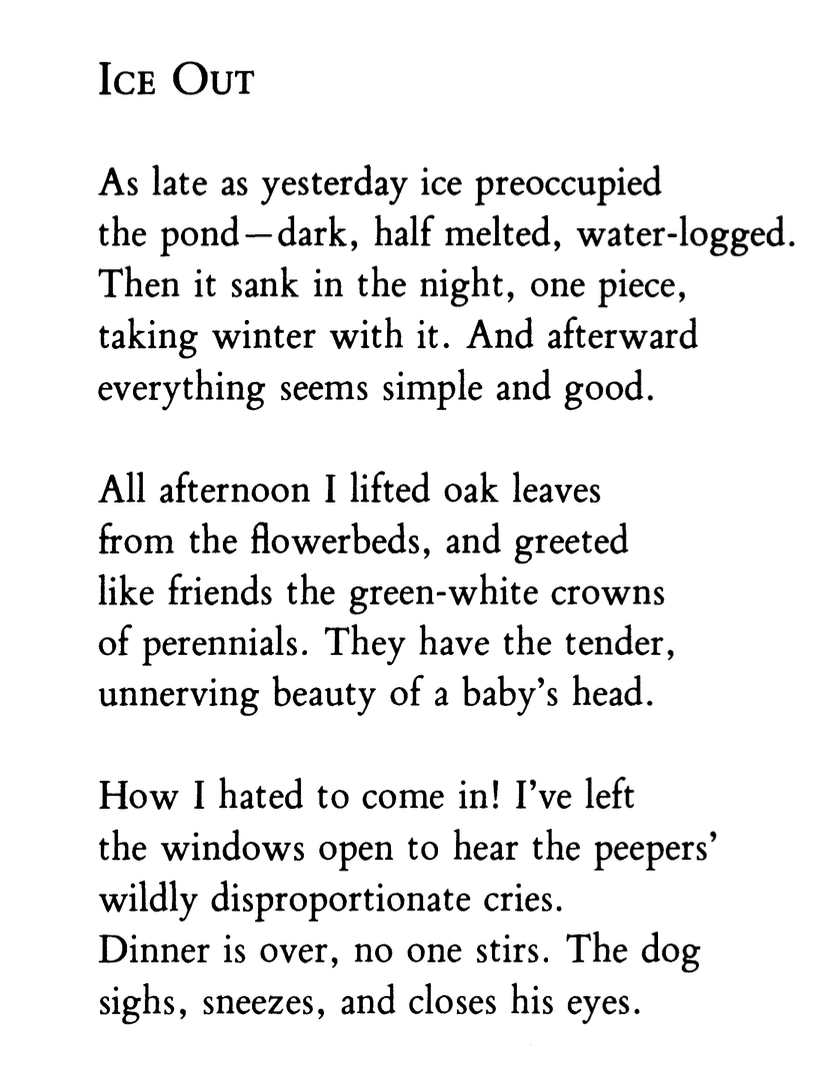 Peter Blair tweet media