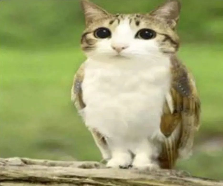 Clay! ≪♪≫ 「メツシさん」もしくわ「タタさん」 tweet media