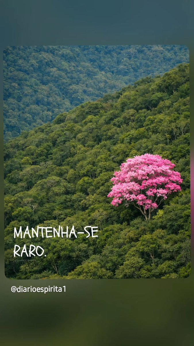 pires_ciih's tweet photo. 🩷 https://t.co/oT21Zoumna