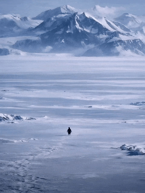 sometime the right decision looks like this