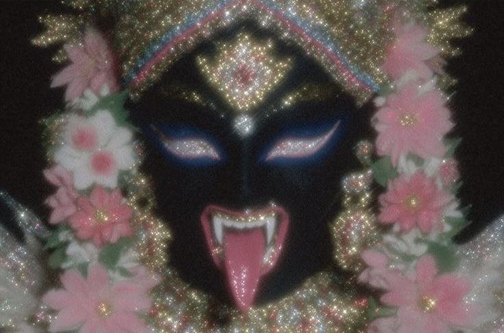 Ranvijay Singh tweet media