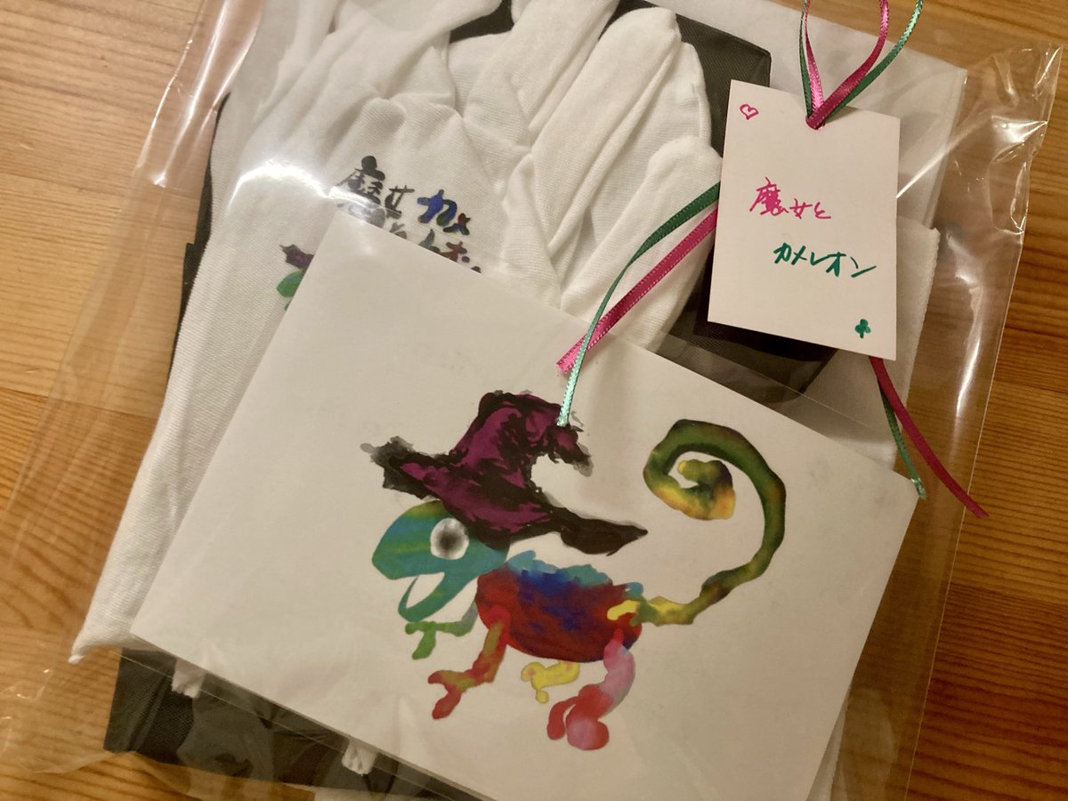 aodori321's tweet photo. #魔女カメ 福袋🌟想像以上に愛のこもった内容に感激しました。ありがとうございます！スペシャルな品々について、その使い方などを配信でお話していただけると嬉しいです。やっぱりこのカメレオン大好き😊 https://t.co/k9U4N6Evex