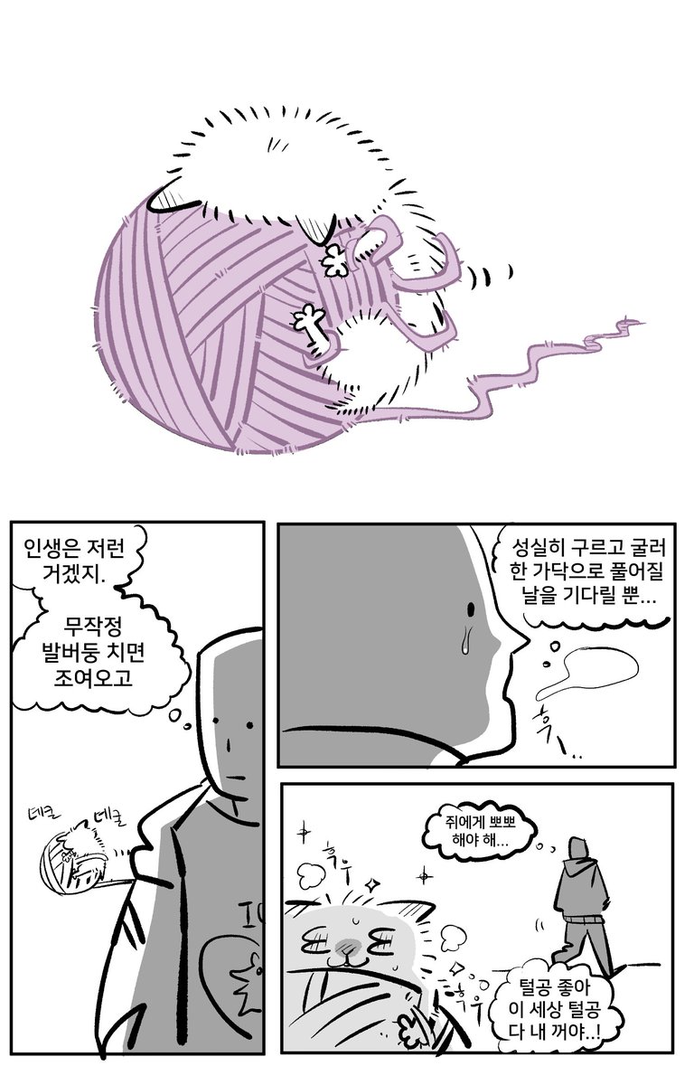 눈덩이는밤덩이 tweet media