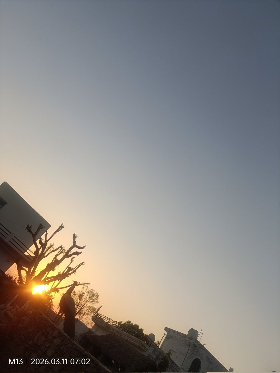 malsinghpatawat's tweet image. महकते पलों पर ,
     एक आईने सा वक्त।
गुजरते हुए इन लम्हों पे,
      कुछ यादों के चलचित्र।।
#MS
Beautiful Morning 🌞✨🌻 Happy Wednesday All friends 💞✨💖