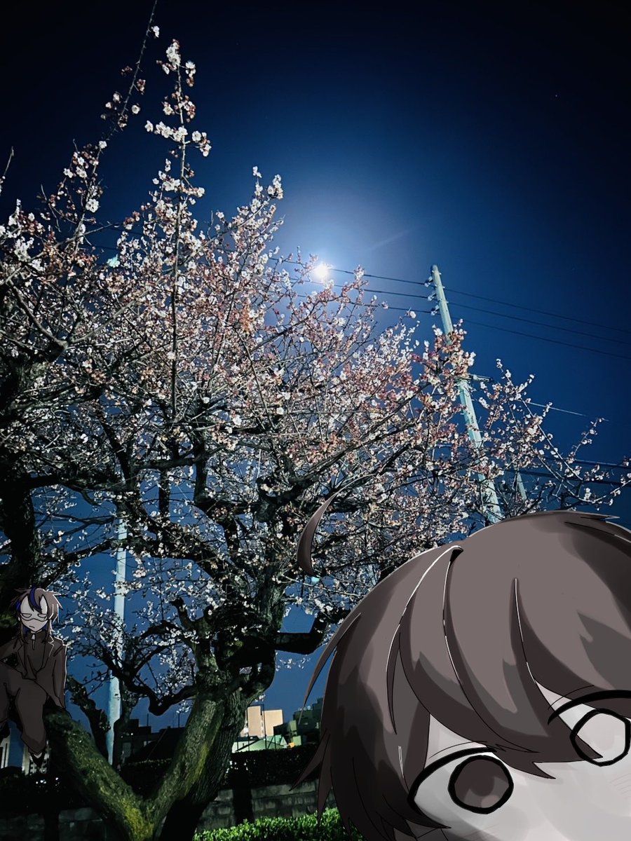 student_reader1's tweet photo. https://t.co/bN9S3P5IM3