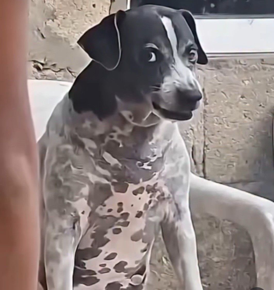 xo, phanie ᥫ᭡ tweet media