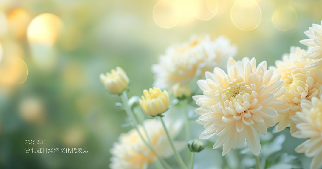 3月11日。東日本大震災から15年が経ちました。

震災によって亡くなられた方々に謹んで哀悼の意を表するとともに、ご遺族、被災された方々、困難な状況にある方々に心からお見舞い申し上げます。

台湾より日本のみなさまへ
心を込めて

2026.3.11　 台北駐日経済文化代表処