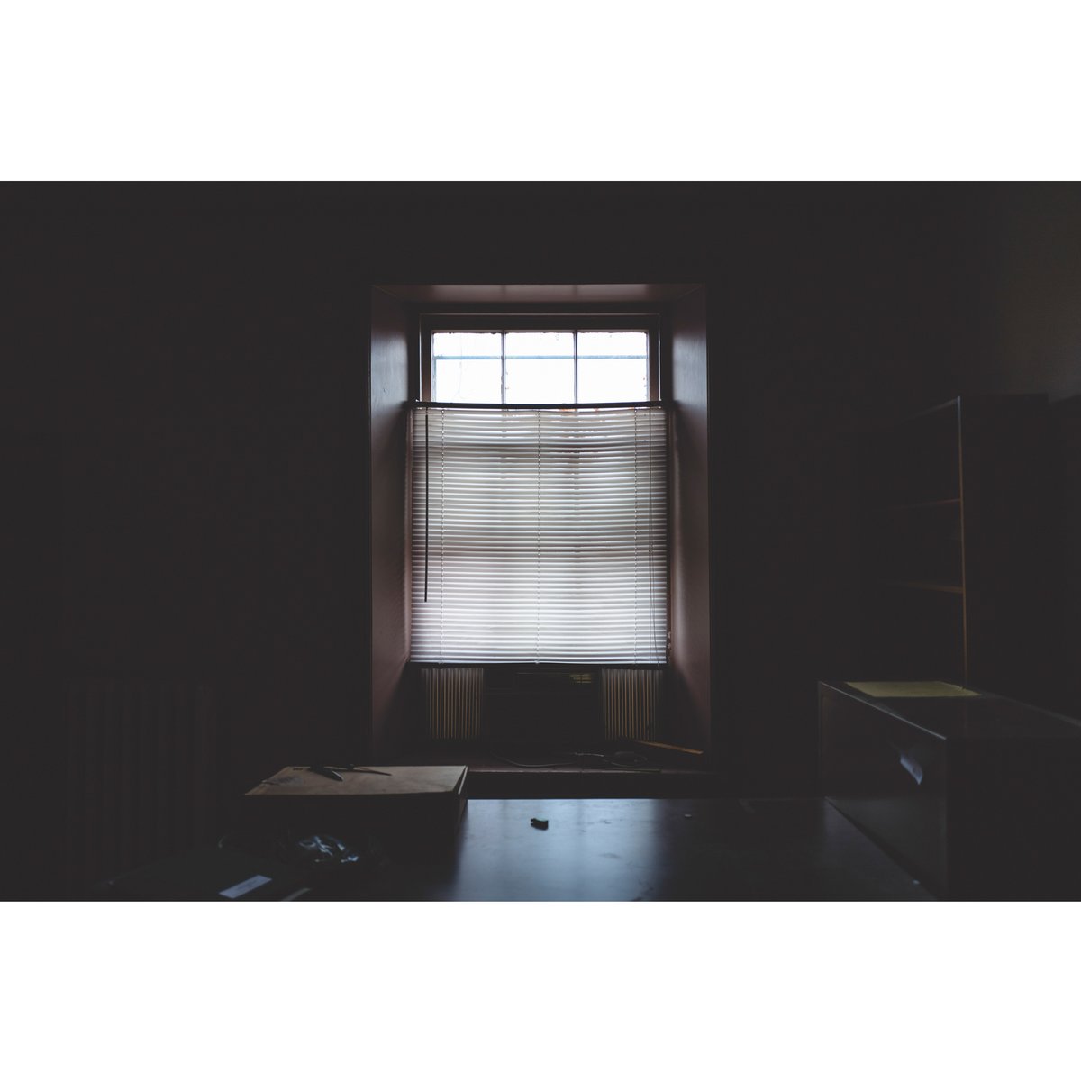 RealJonathanCastellino tweet media