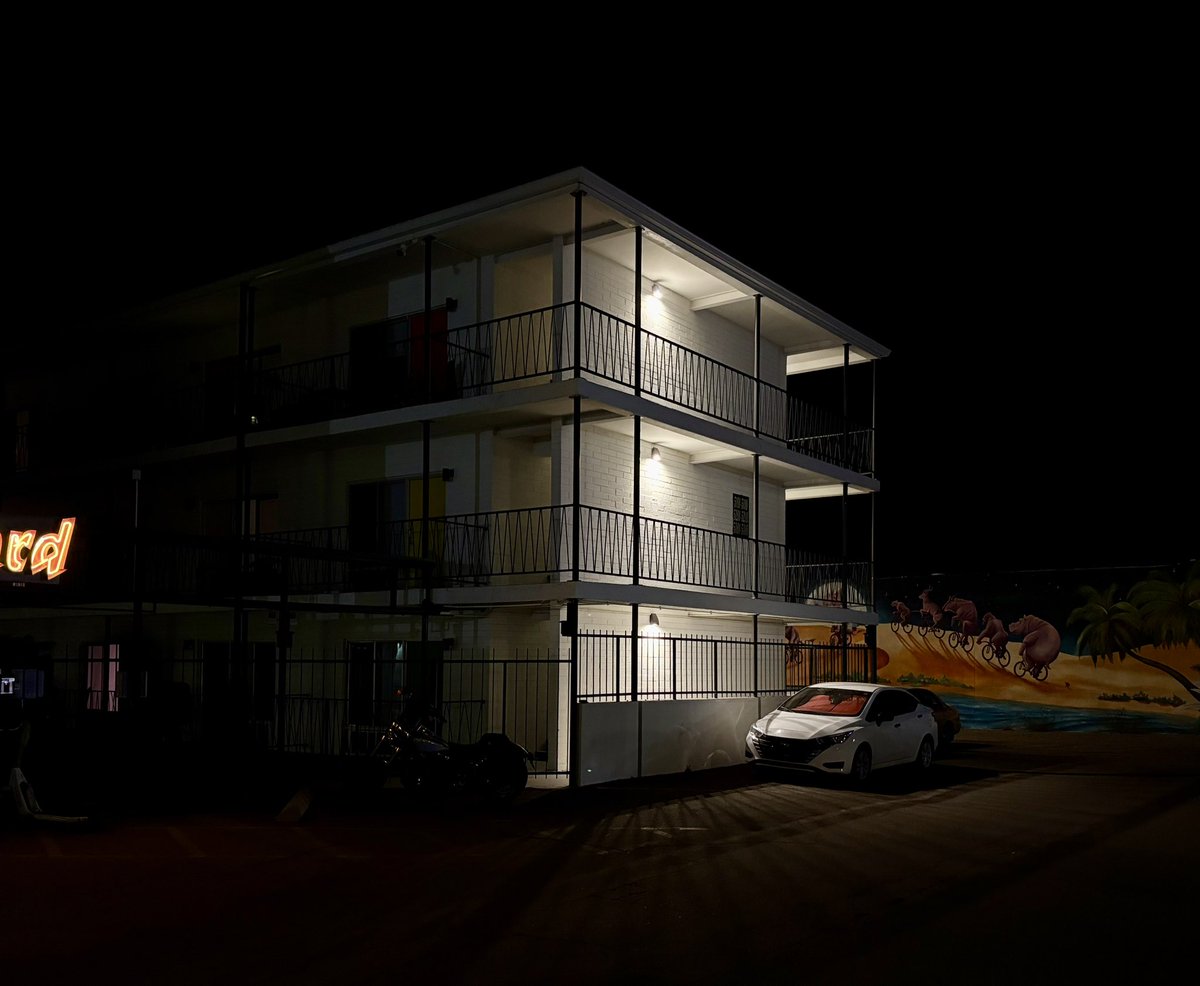 Chicken Joe 🐔 tweet media