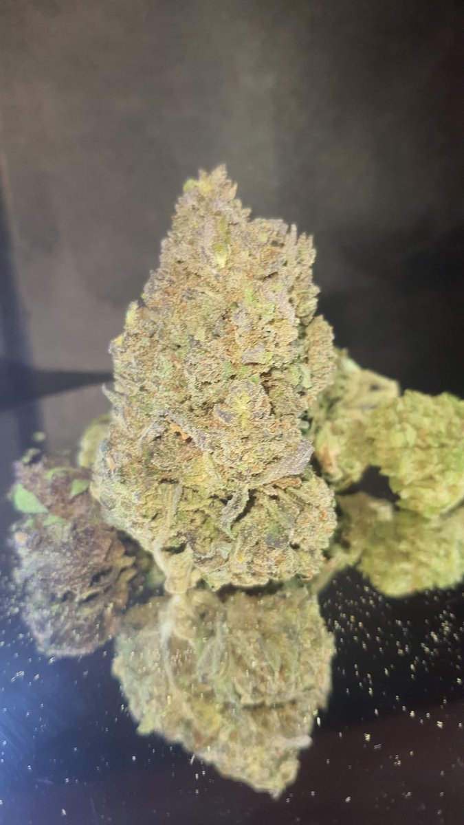 🦁ParDeLeos 420 🍀 SW🦁 tweet media