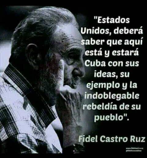 Kurosaki Ichigo tweet media