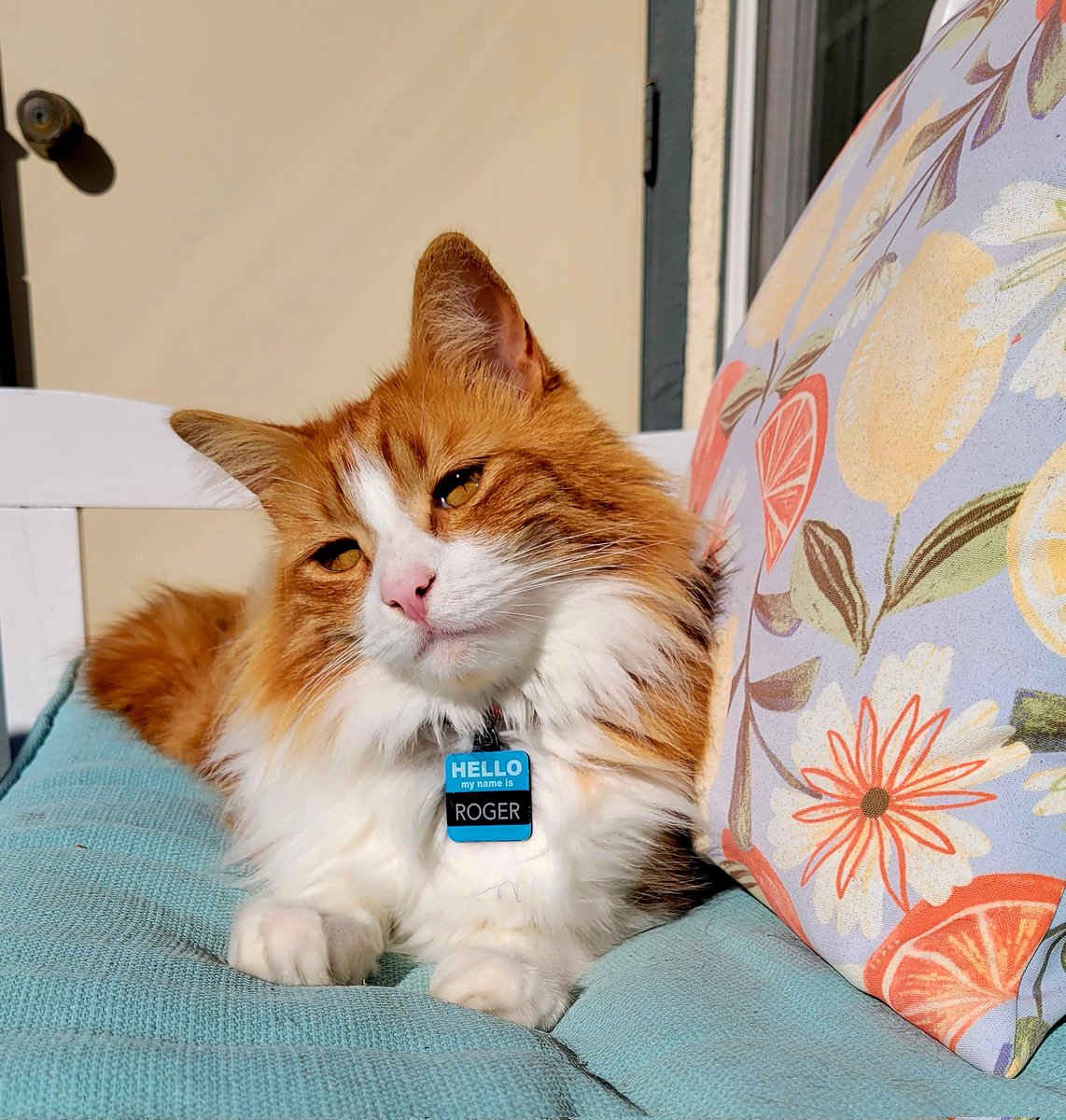 Robert Straker tweet media