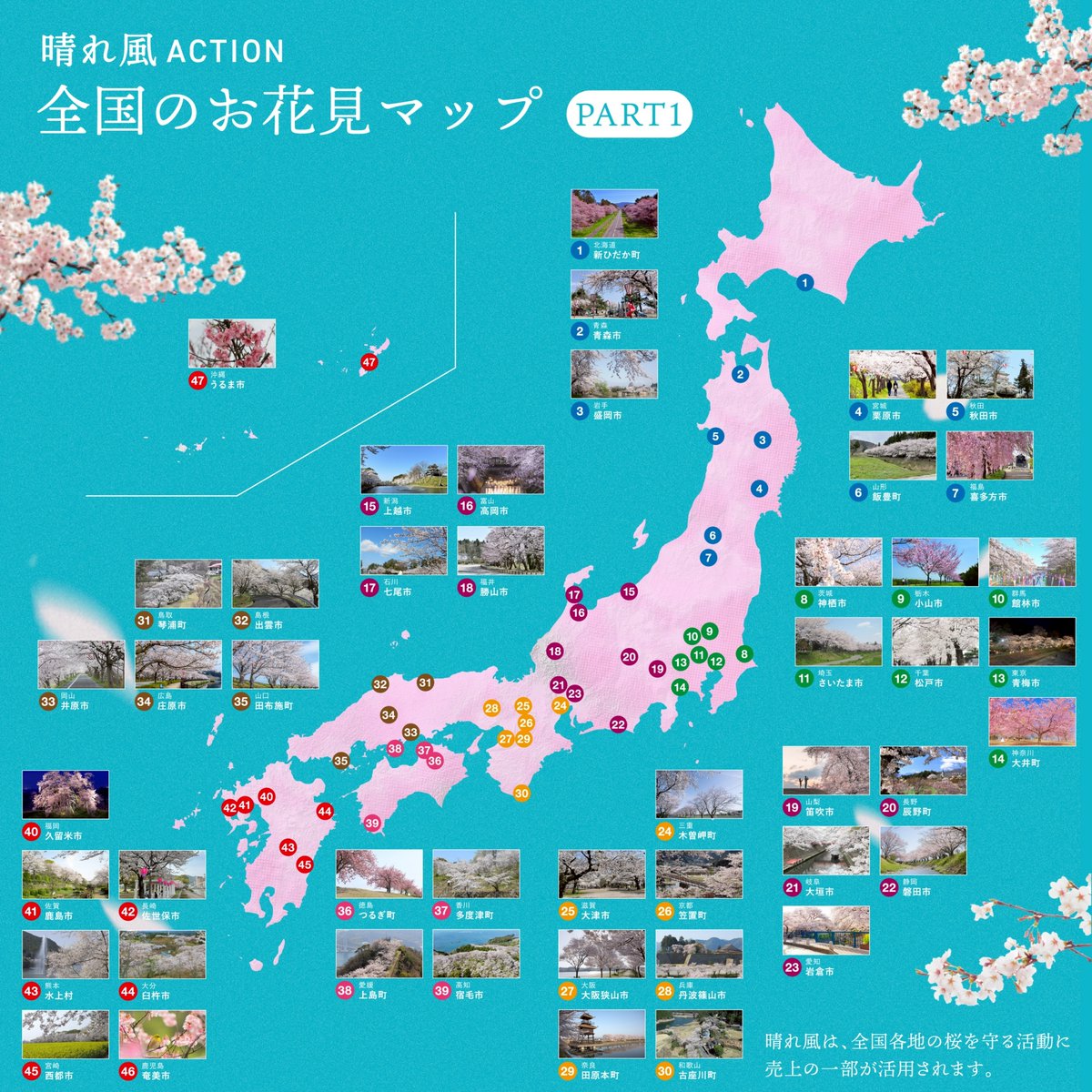 薩摩焼　桜花見図　花活 晴れ風ACTIONで支援している自治体の お花見マップを作ってみました