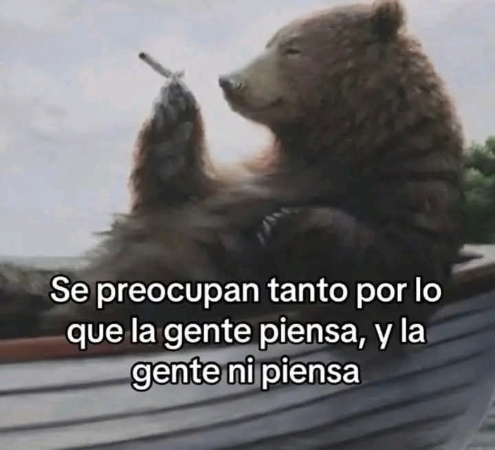 angelo_uf's tweet photo. https://t.co/VkAYaqAc1M