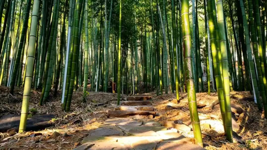 Monkey King’s Hometown - Lianyungang tweet media