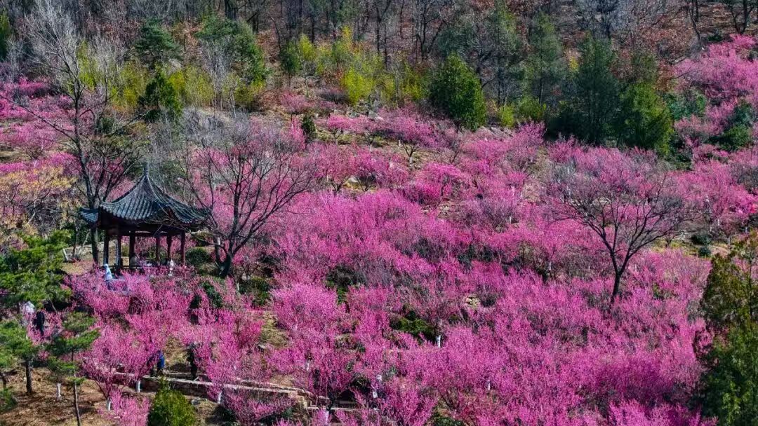 Monkey King’s Hometown - Lianyungang tweet media