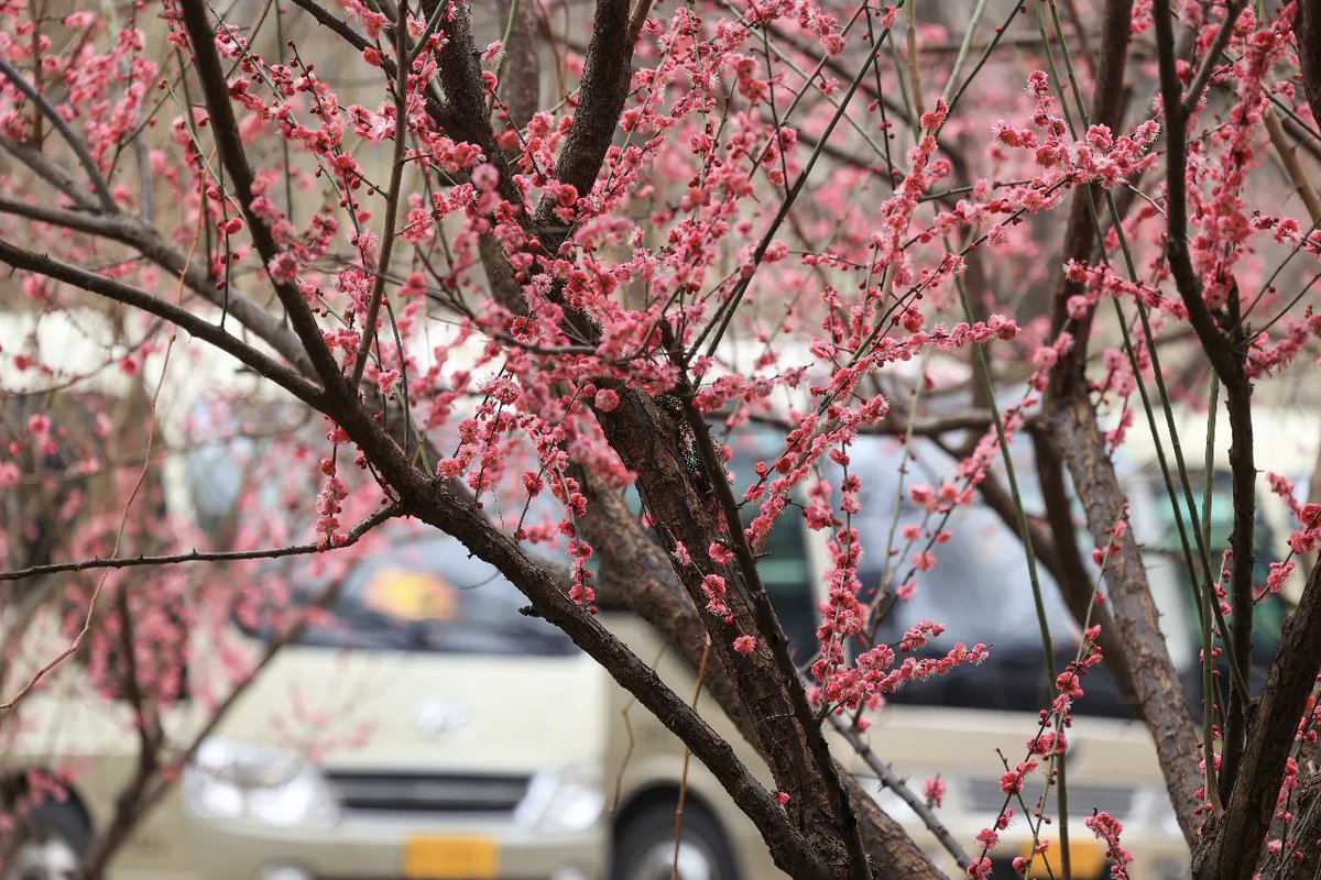 Monkey King’s Hometown - Lianyungang tweet media