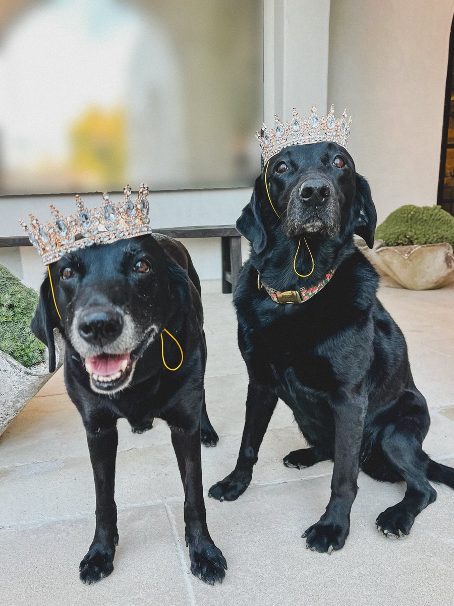 Ryan Seacrest tweet media