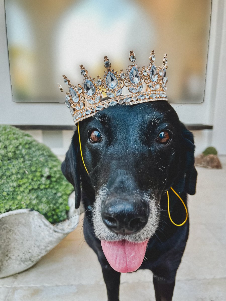 Ryan Seacrest tweet media