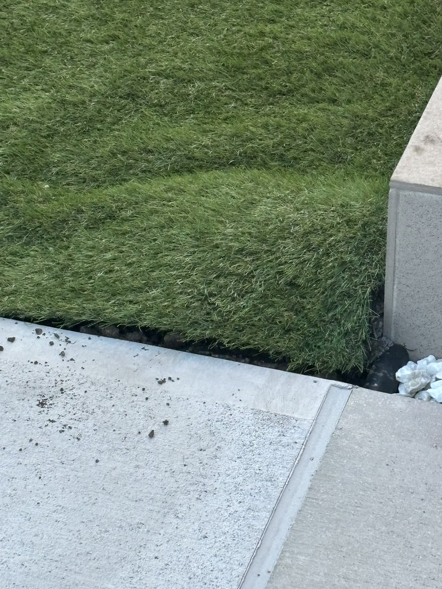 お稲荷＠ジキルツアーに行きたい人 tweet media